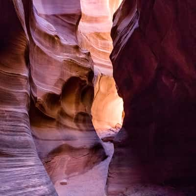 Rattlesnake Canyon, USA