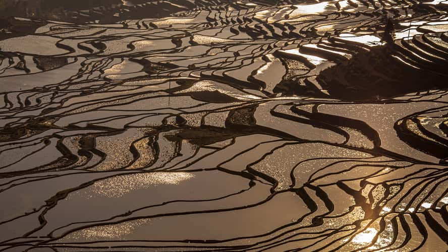 Reisterrassen in Yunnan