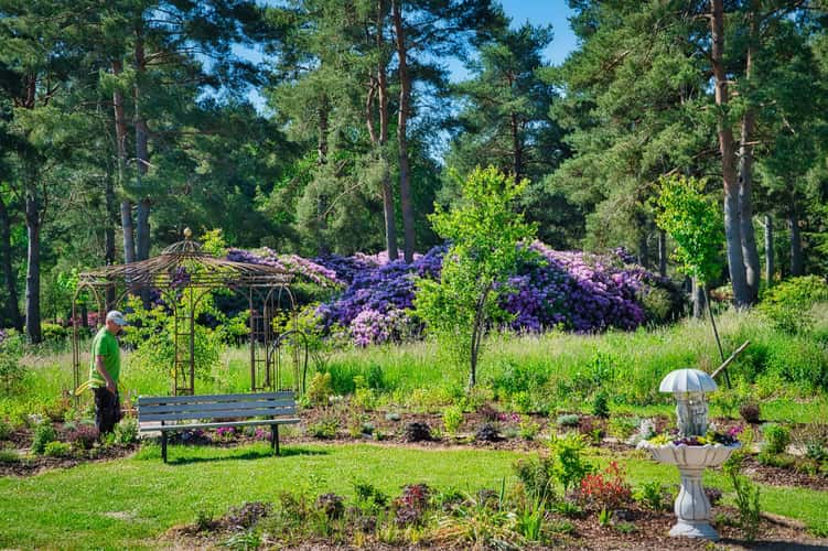 Rhododendron Park