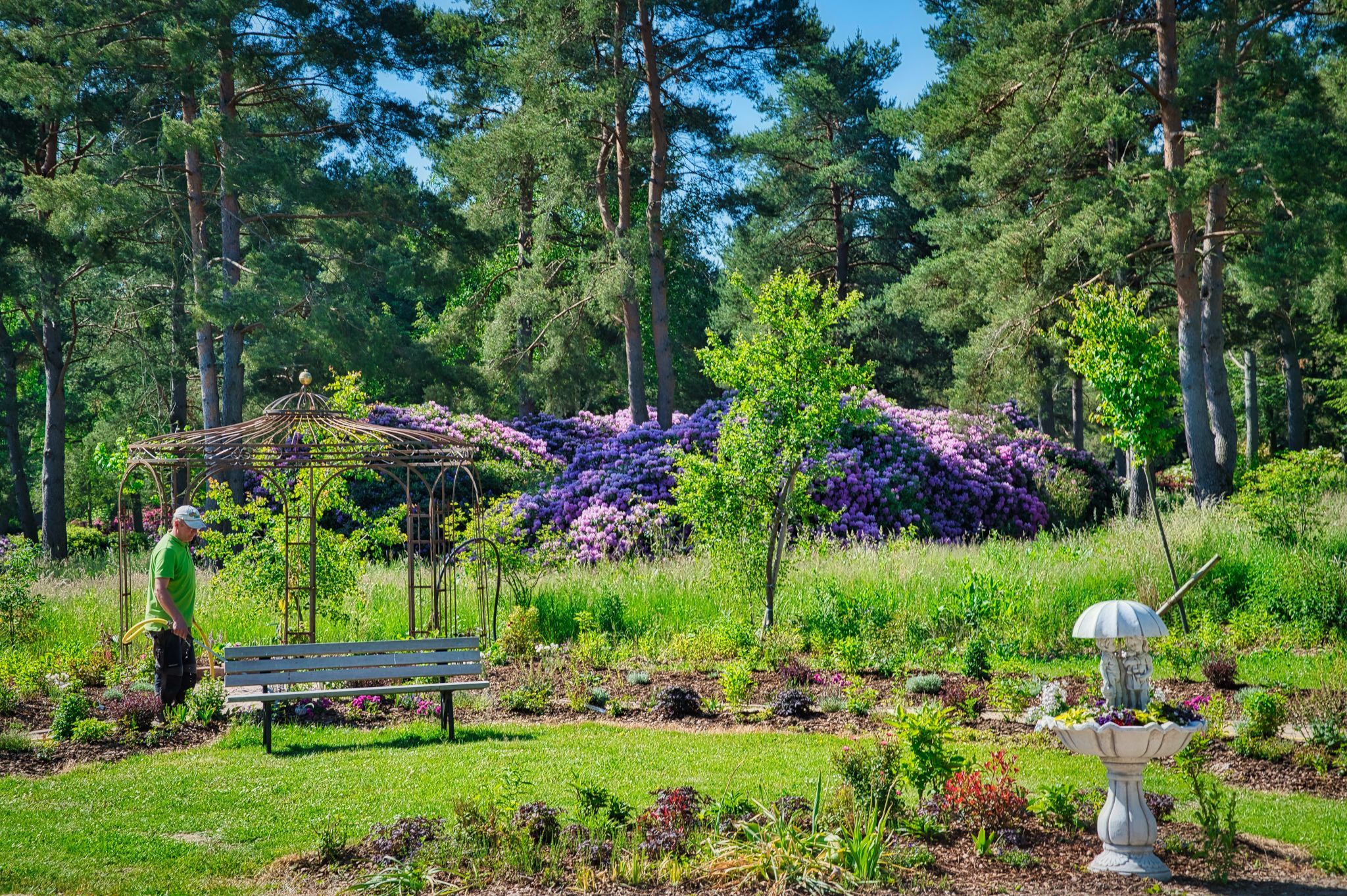 Rhododendron Park, Germany