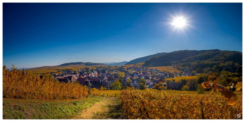 Another view over Riquewihr