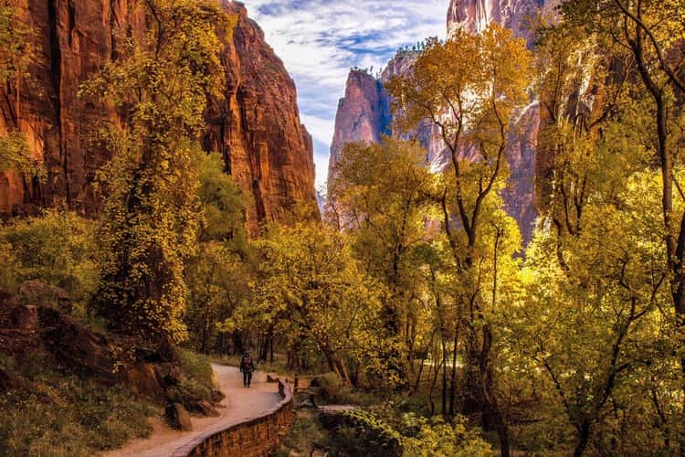 Riverside Walk, Zion National Park