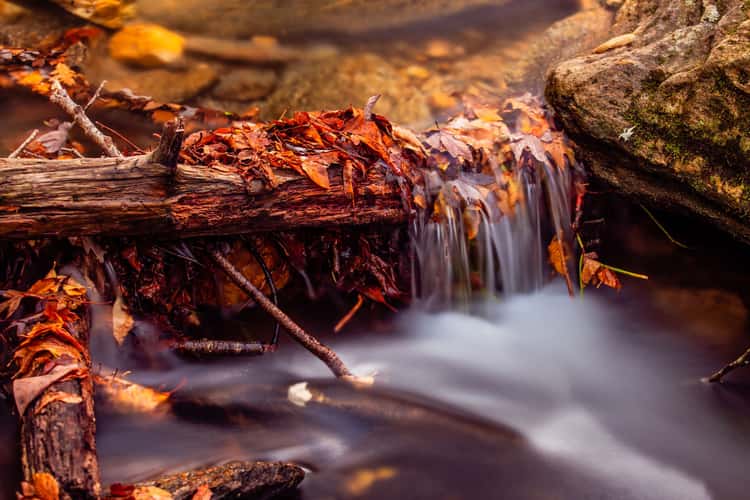 Roaring Fork Falls