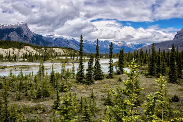 Saskatchewan Landing
