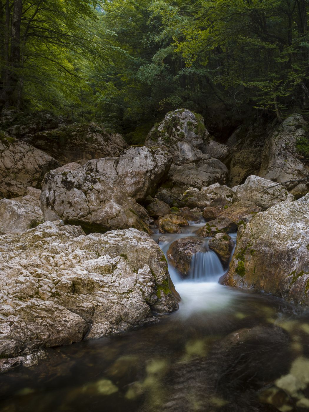 Sava Bohinjka river, Slovenia