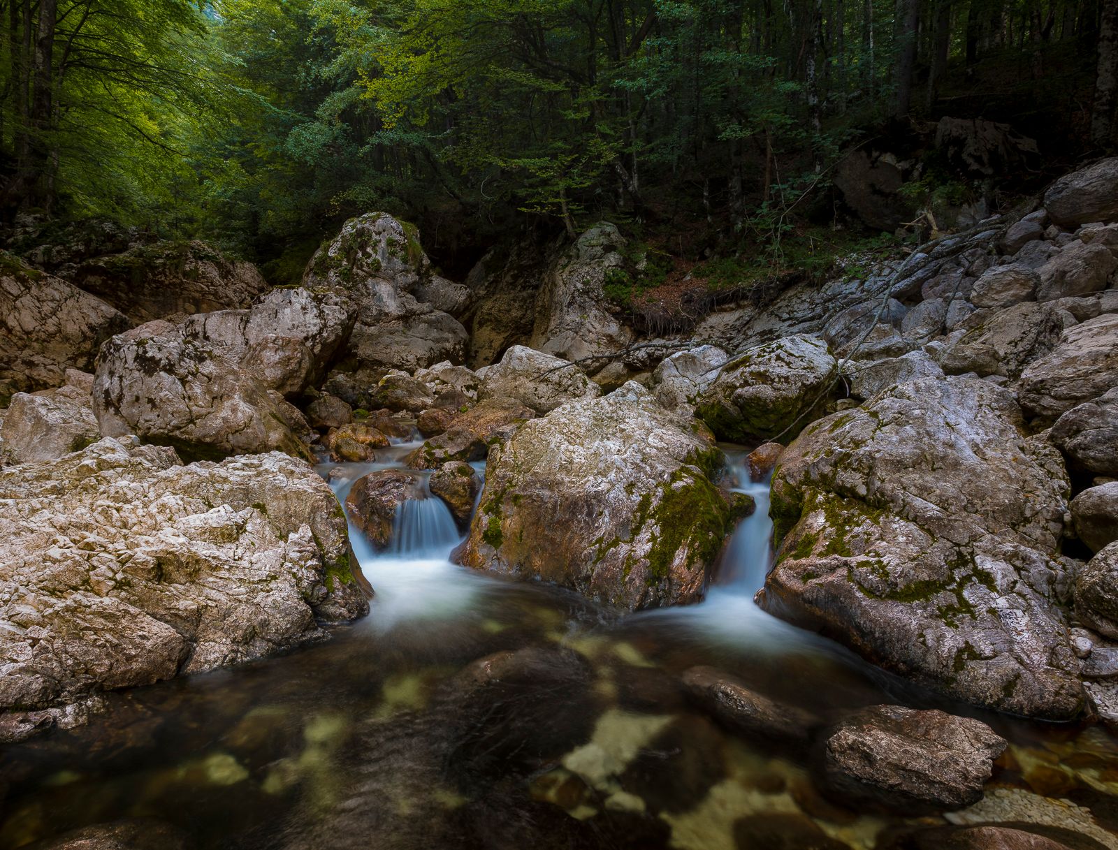 Sava Bohinjka river, Slovenia