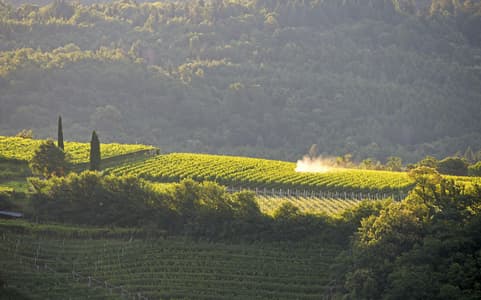 Schlosshotel Aehrental