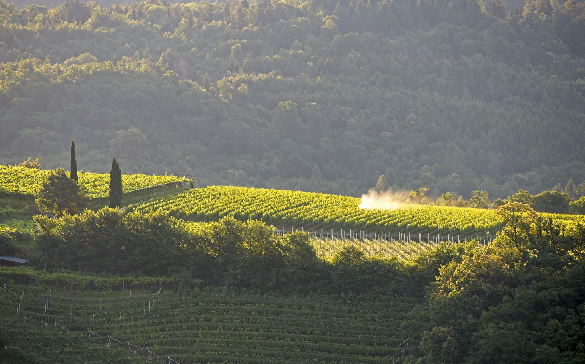 Schlosshotel Aehrental, Italy