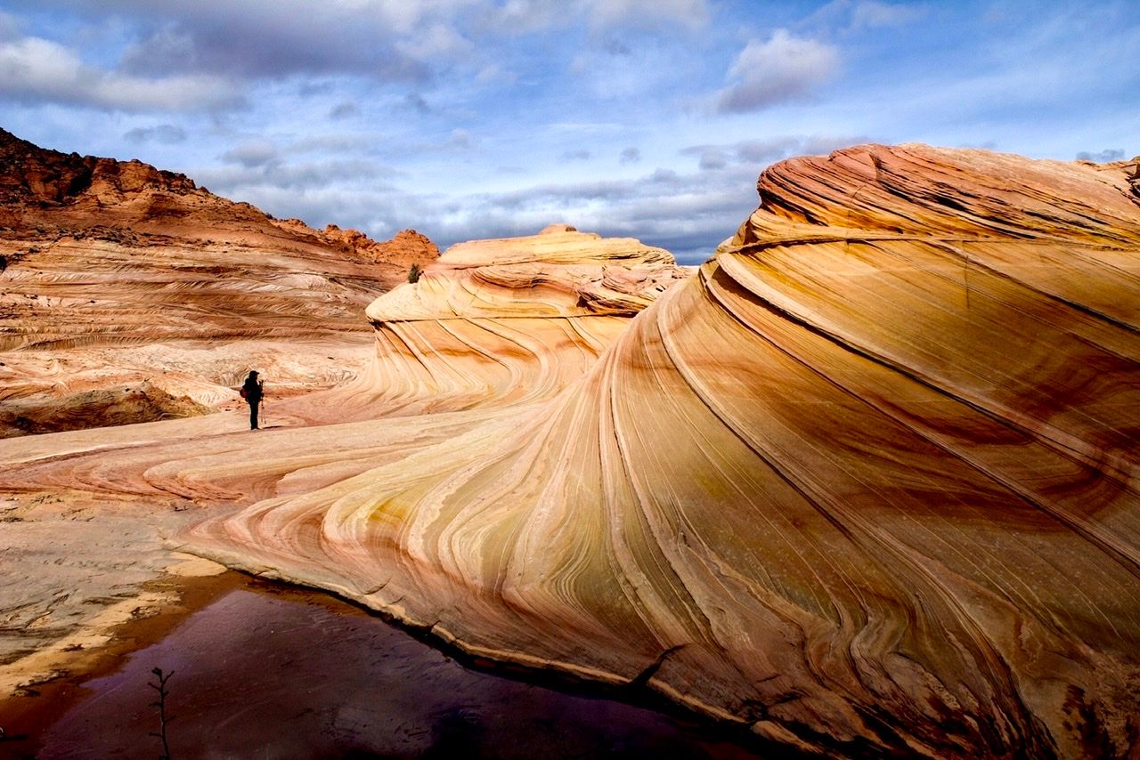 The second wave, USA