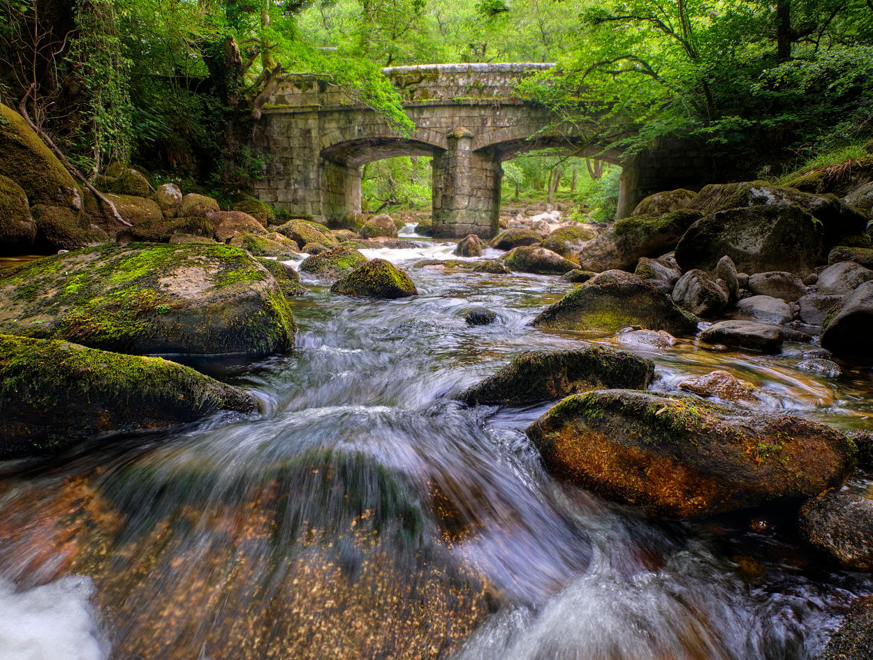 Shaugh Prior Bridge, United Kingdom