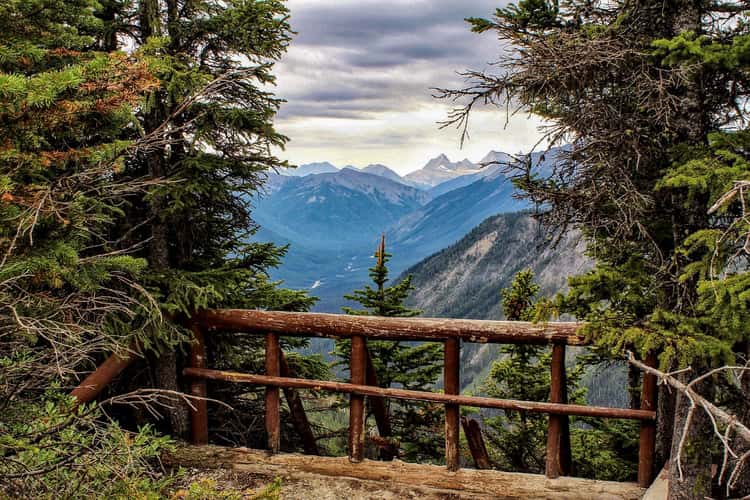 Simpson Viewpoint