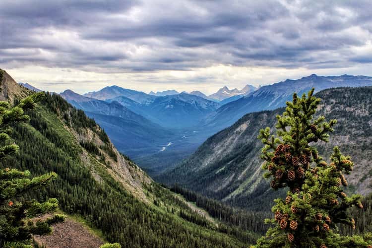Simpson Viewpoint