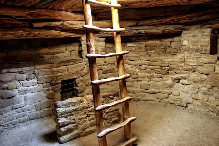 Spruce Tree House