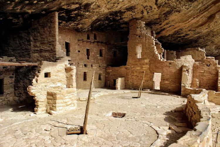 Spruce Tree House