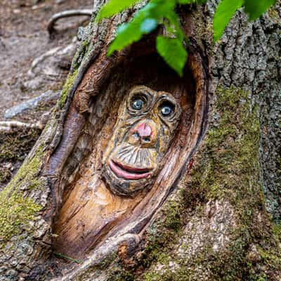 Steckeschlääferklamm (Wood Carvings in the Woods), Germany