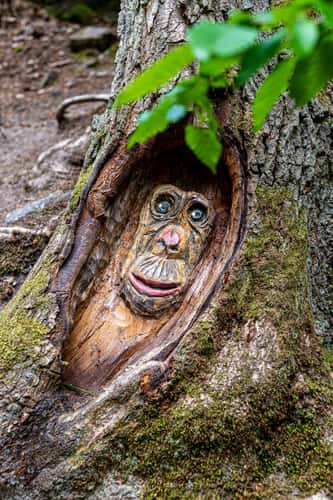 Steckeschlääferklamm (Wood Carvings in the Woods)