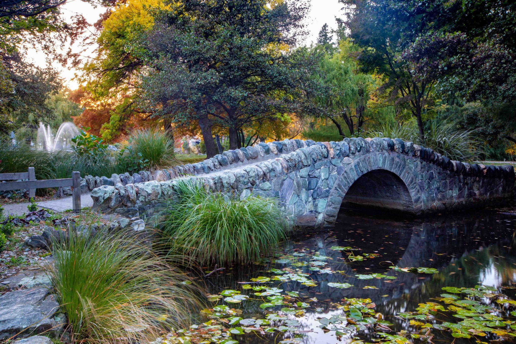 Stone Bridge Queenstown Gardens sunrise South Island, New Zealand