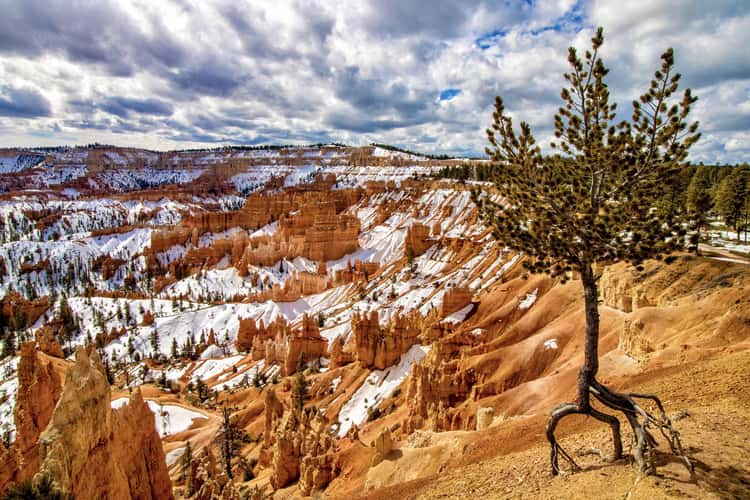 Sunrise Point, Bryce Canyon, Utah