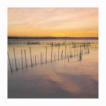 Sunset at the Natural Park of Albufera, Valencia, Spain