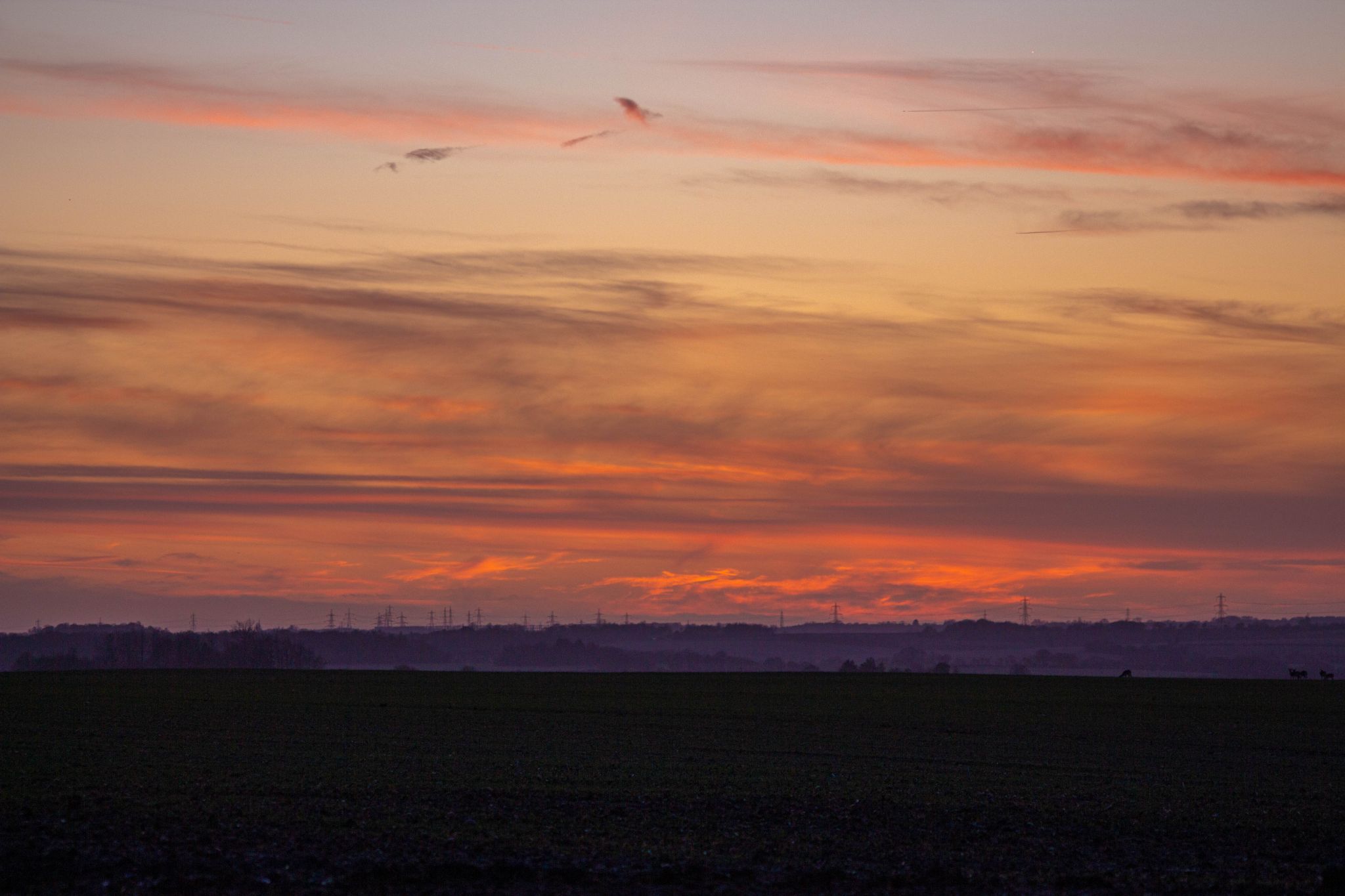 Sunset over Field, United Kingdom