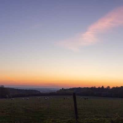 Essex Fields, United Kingdom