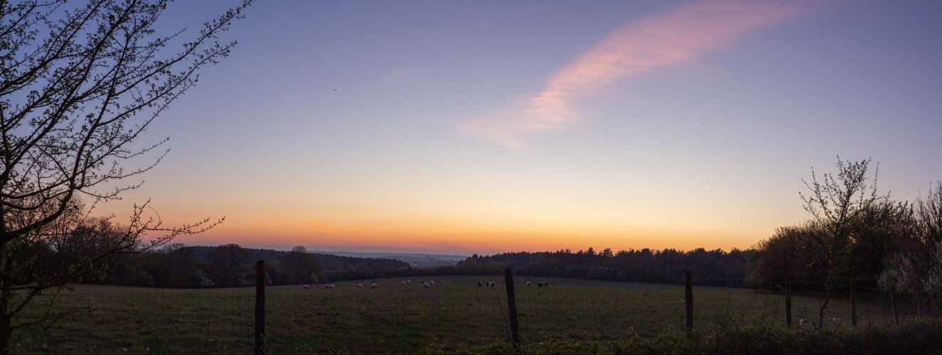 Essex Fields