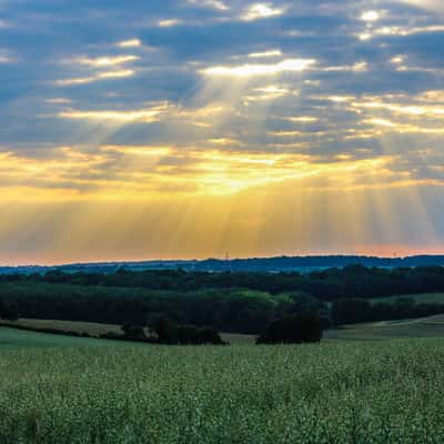 Sunset over Field, United Kingdom