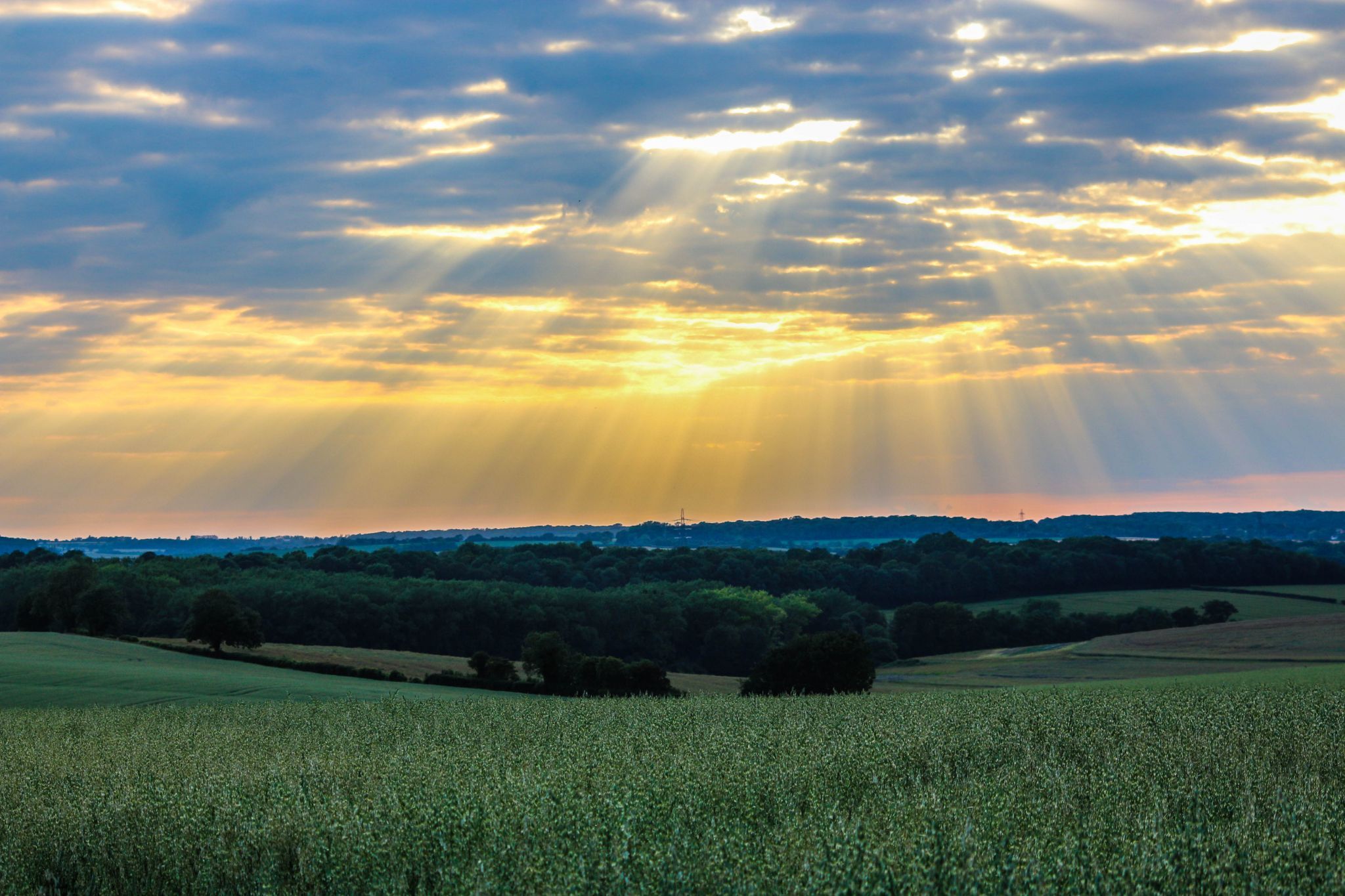 Sunset over Field, United Kingdom