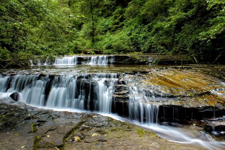 Sweet Creek