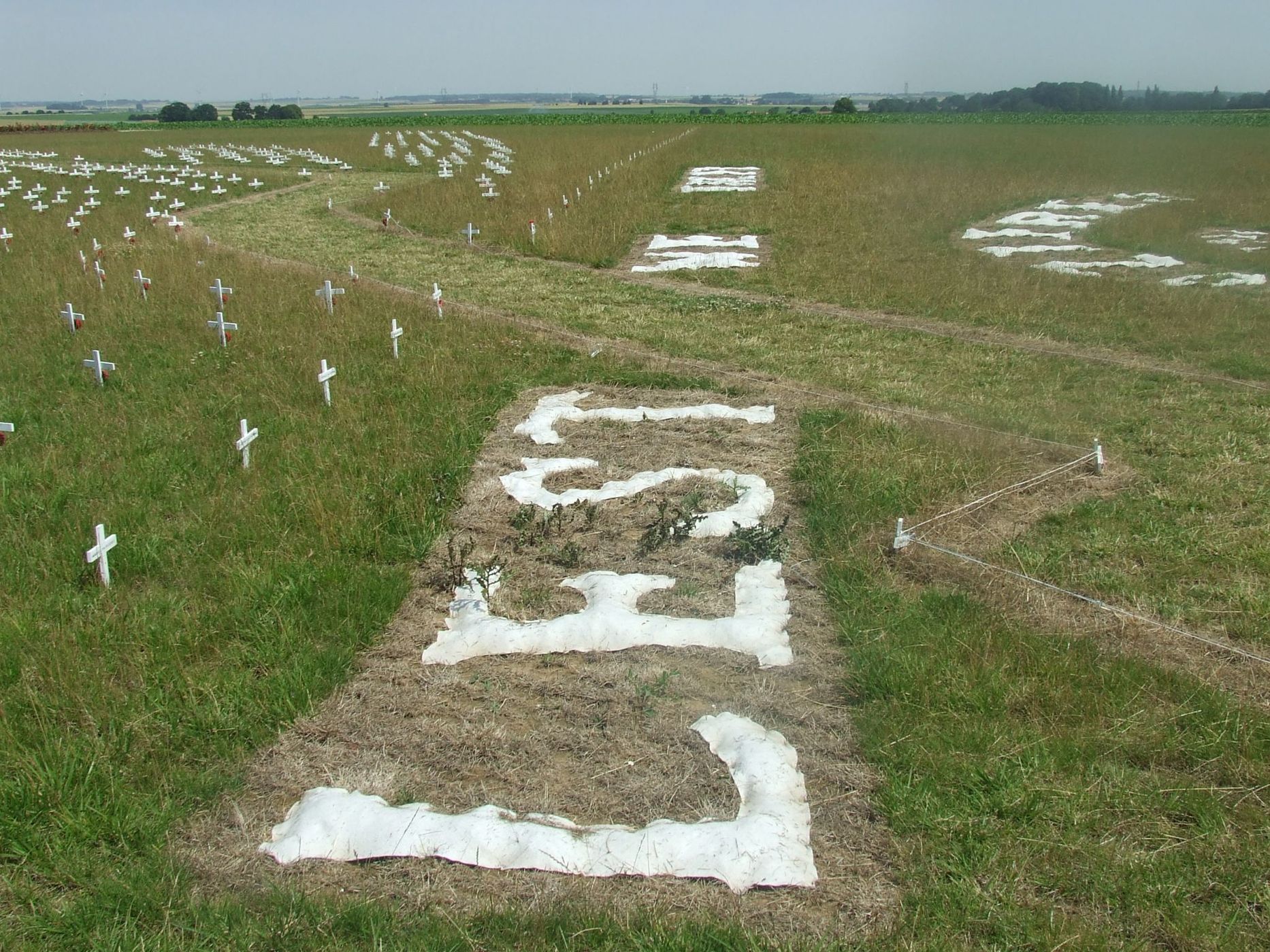 Tank memorial and WW1 animal memorial, France
