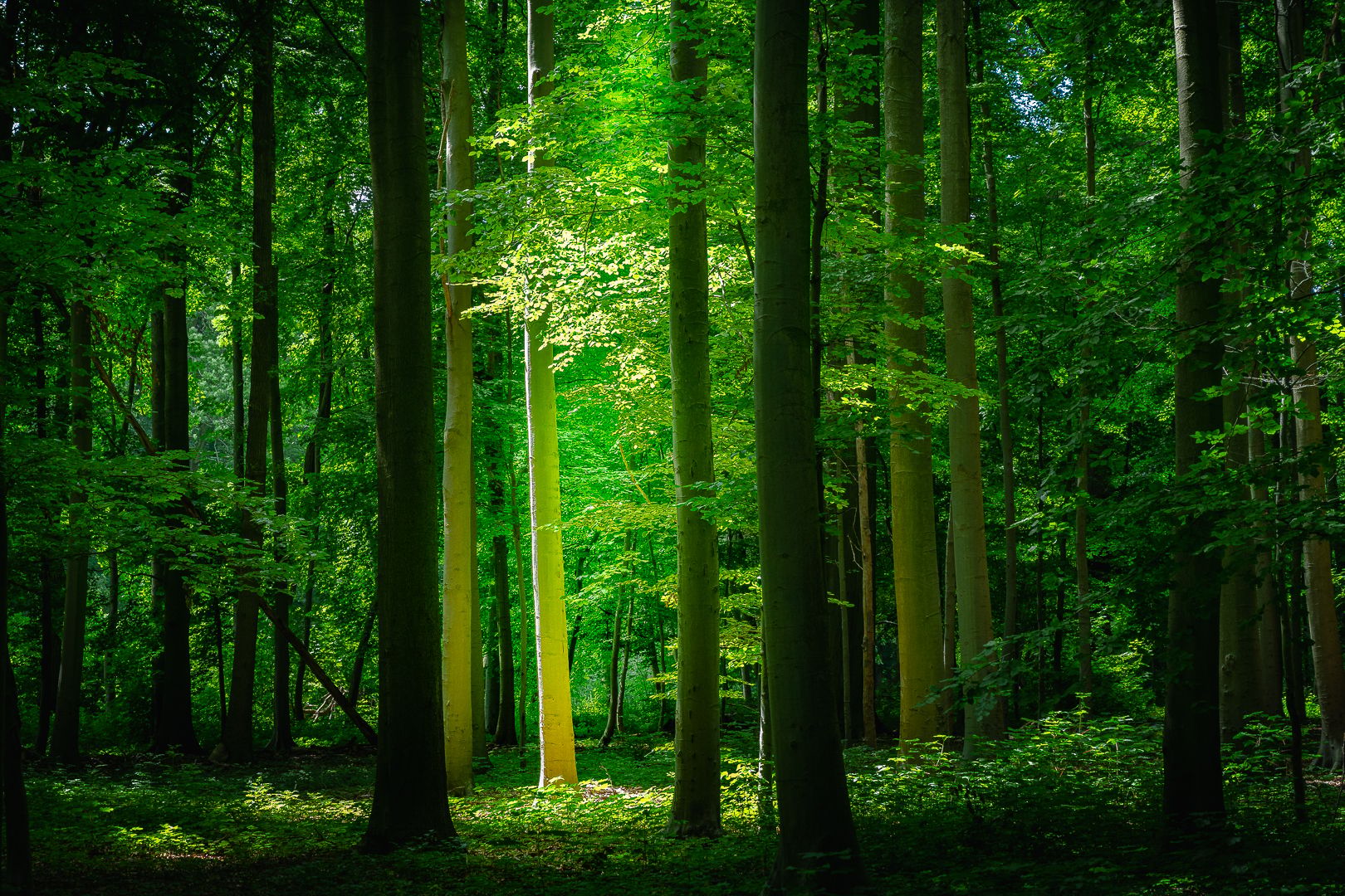 Tervuren Park, Brussels, Belgium