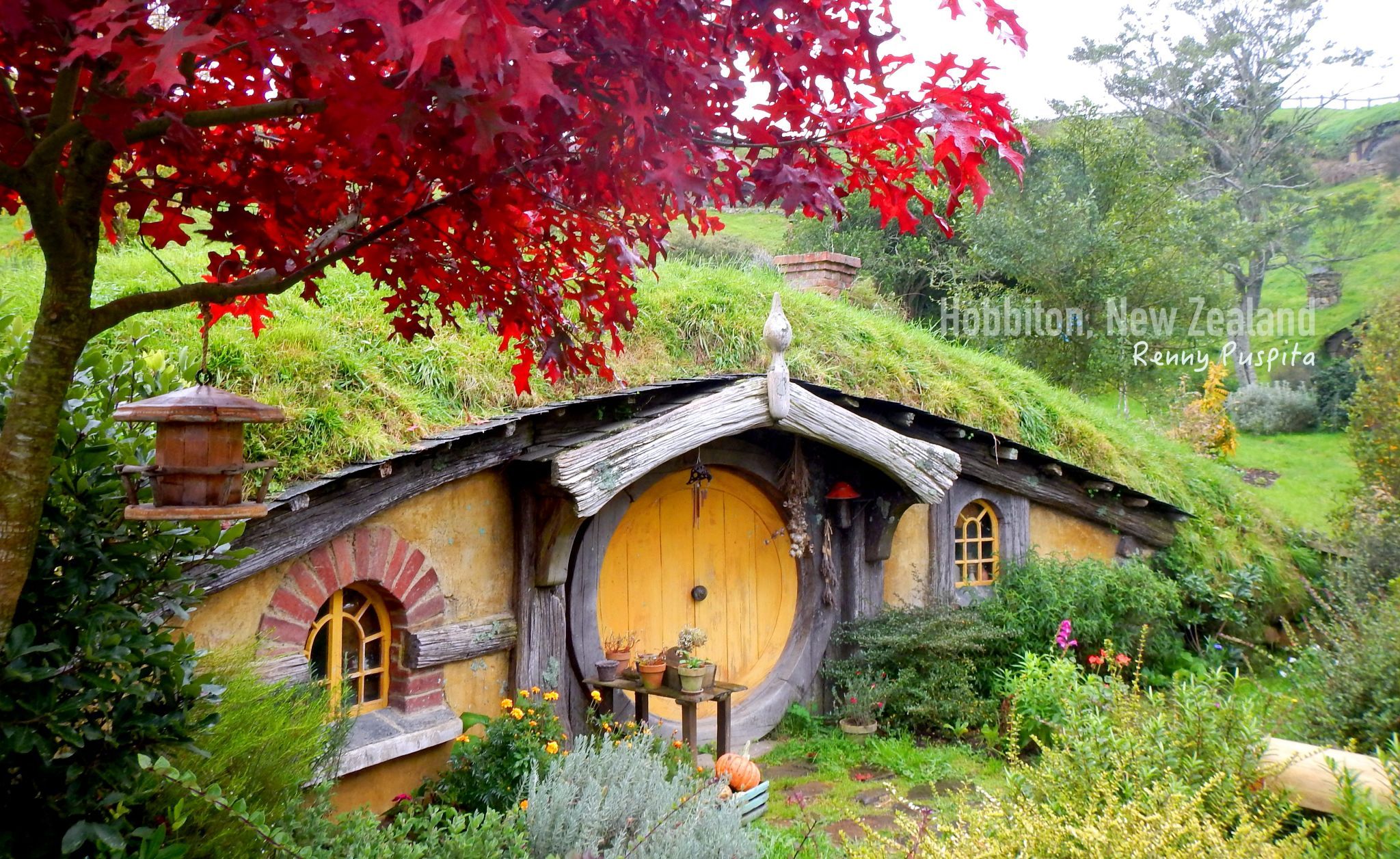 The Hobbiton Movie Set, Matamata - New Zealand, New Zealand