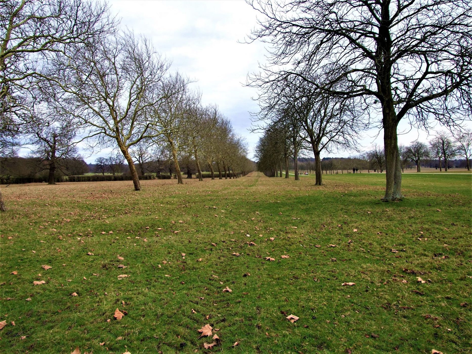 The Long Walk, Windsor, UK, United Kingdom