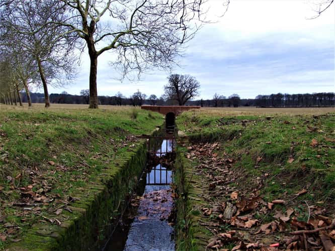 The Long Walk, Windsor, UK