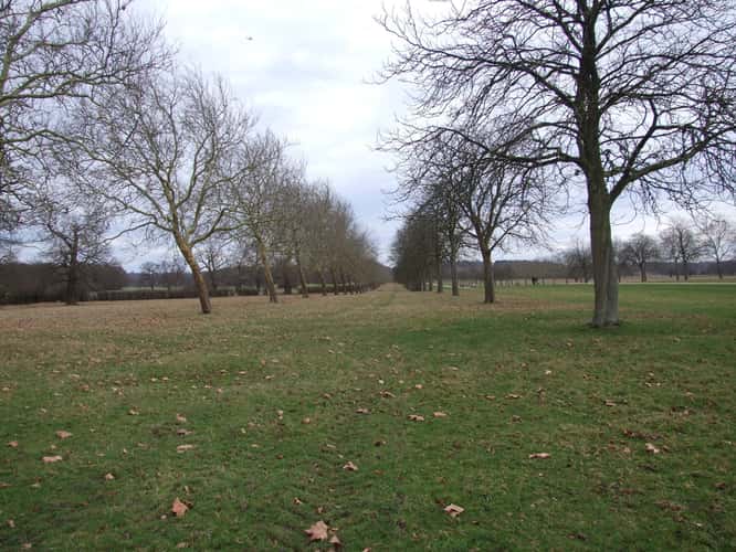 The Long Walk, Windsor, UK
