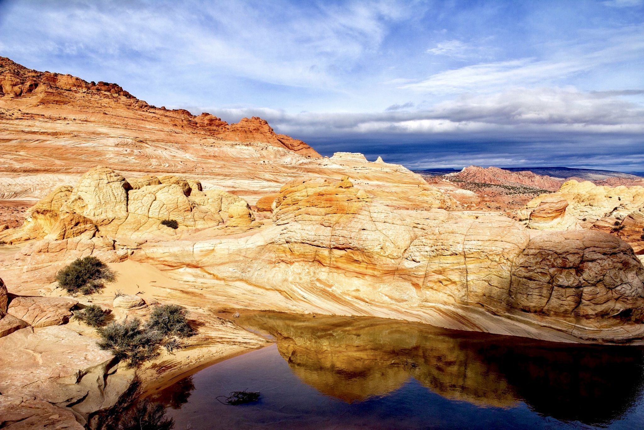 The Wave, USA