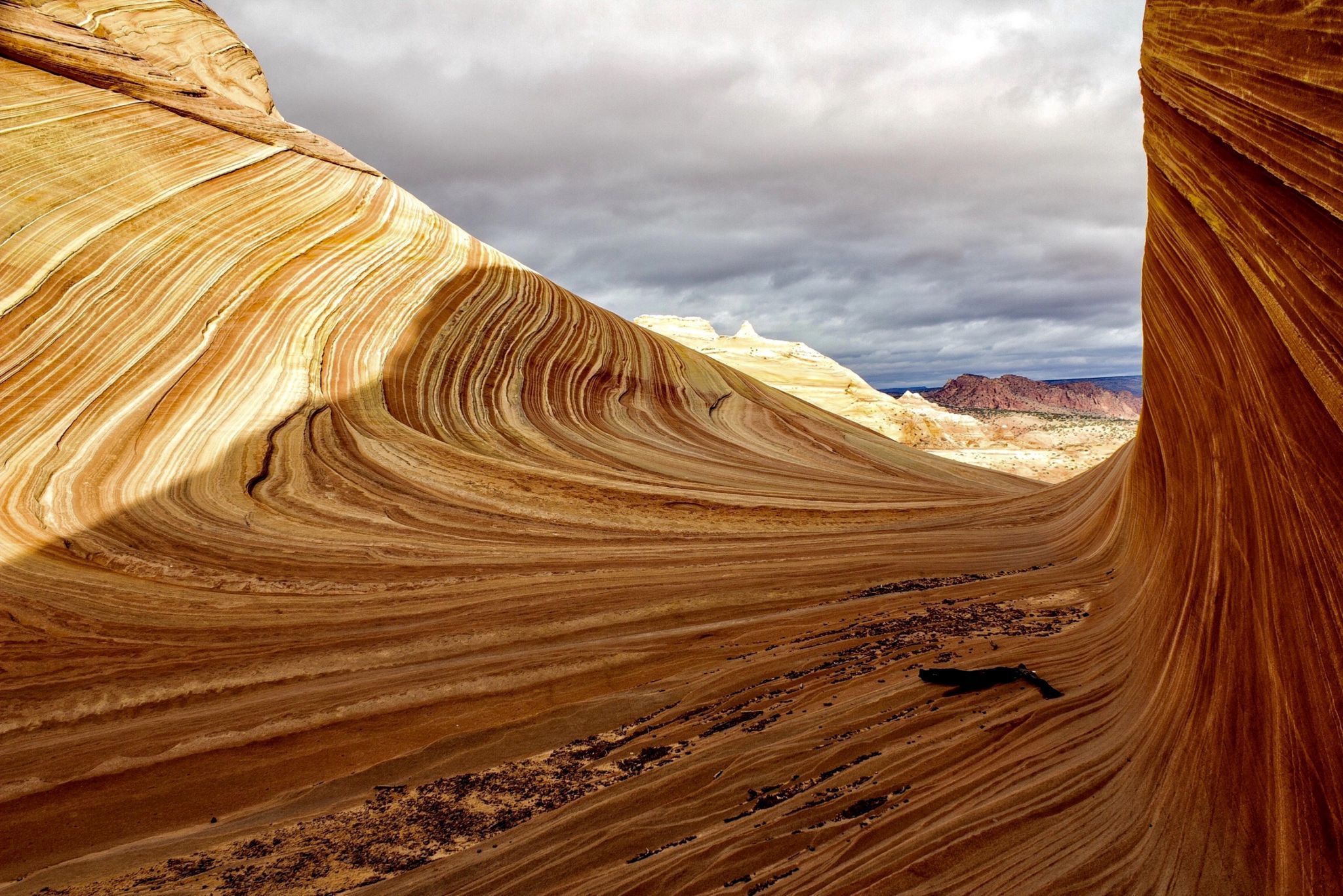 The Wave, USA