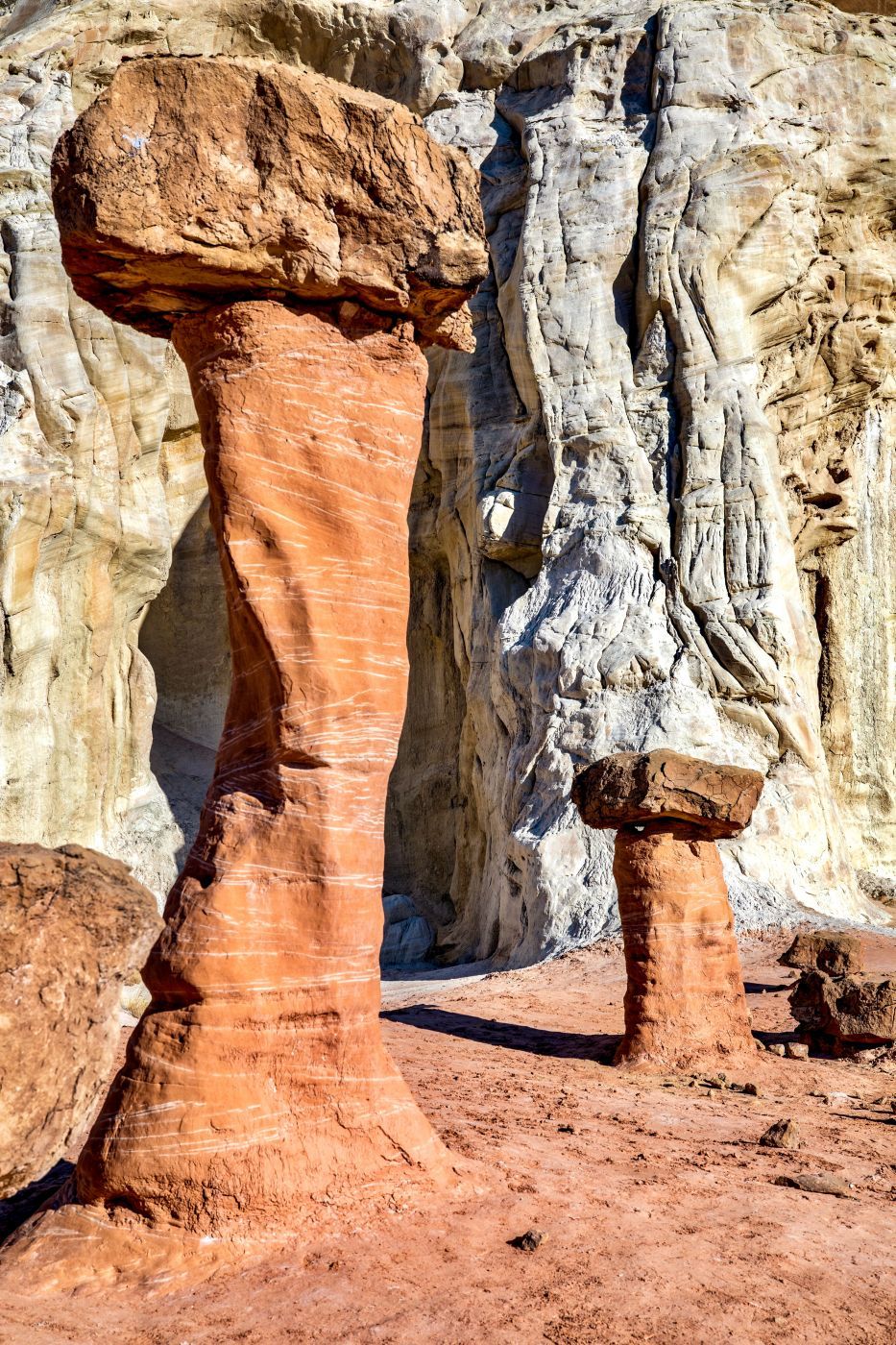 Toadstools, USA