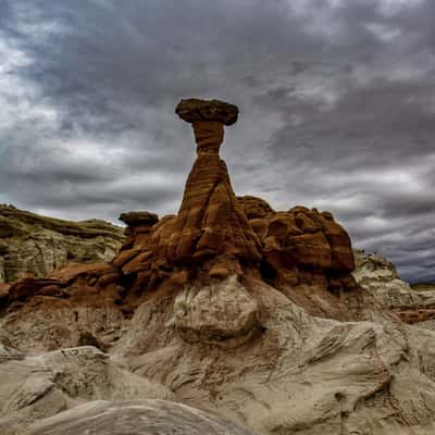 Toadstools, USA