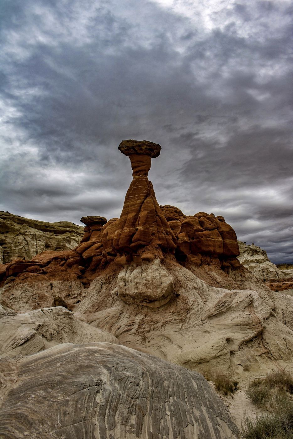 Toadstools, USA