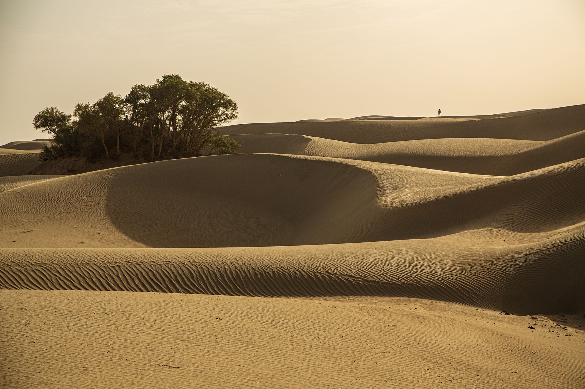 Unterwegs in der Taklamakan Wüste, China