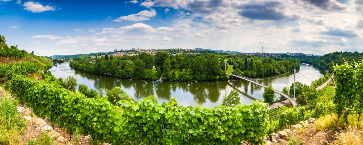 View onto Neckar and Max-Eyth-Steg