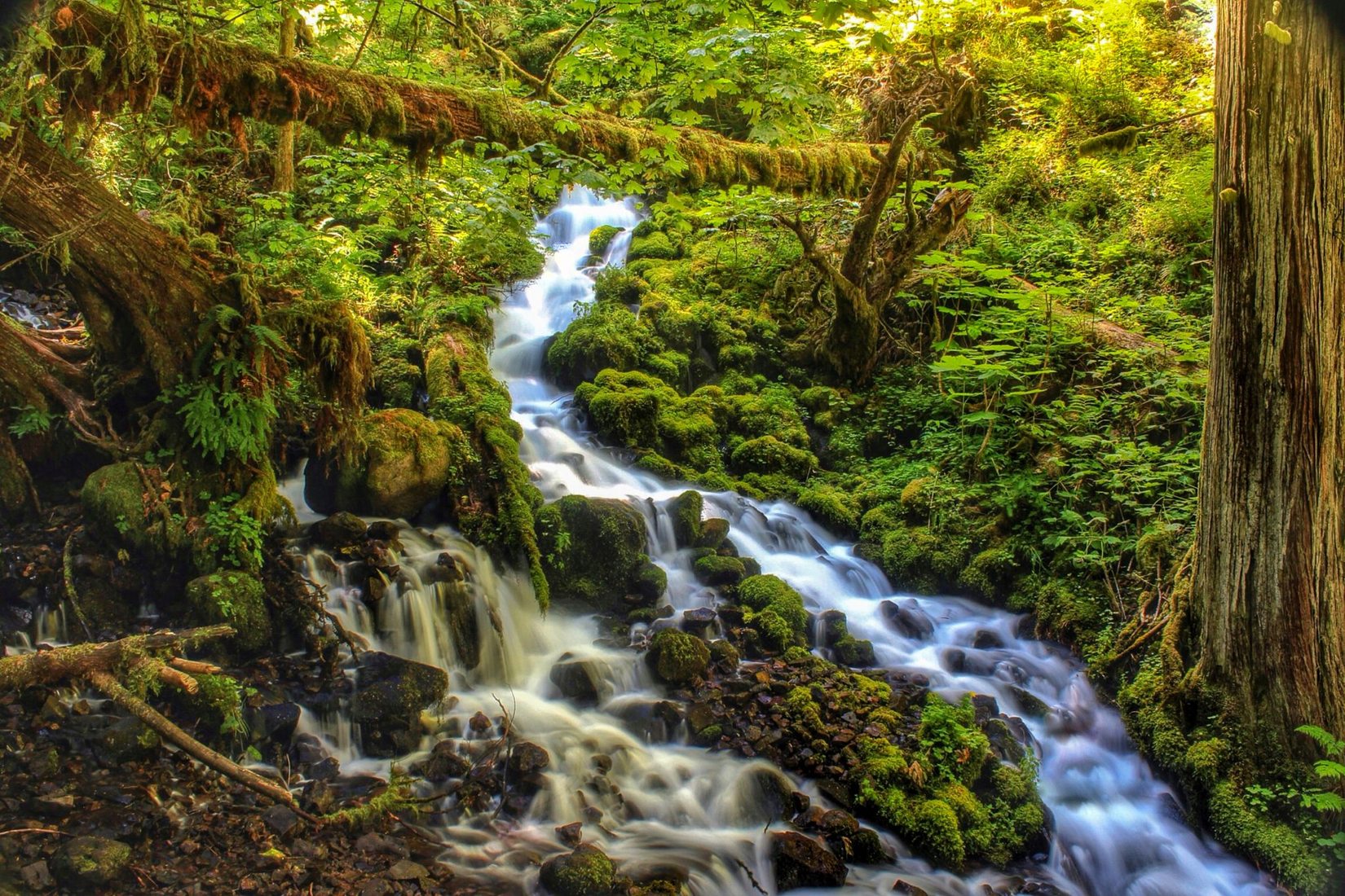 Wahkeena Creek Cascade, Usa