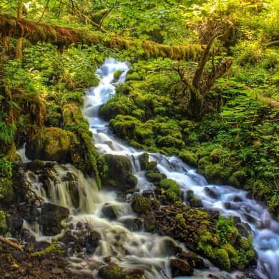 Wahkeena Creek Cascade, USA