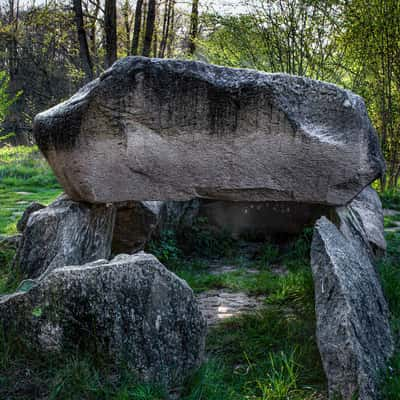 Walsen megalithic tomb, Germany