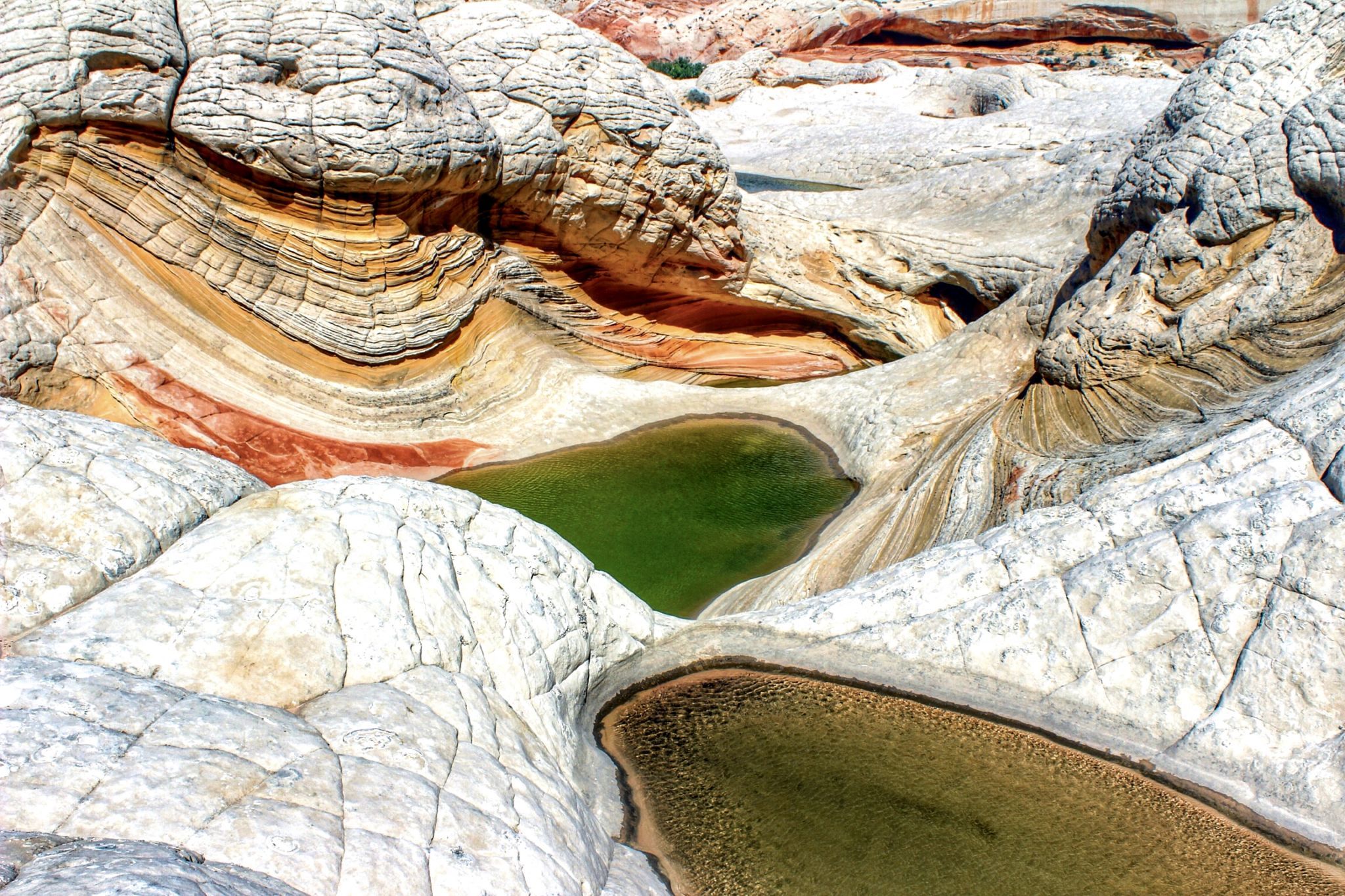 White Pocket, USA