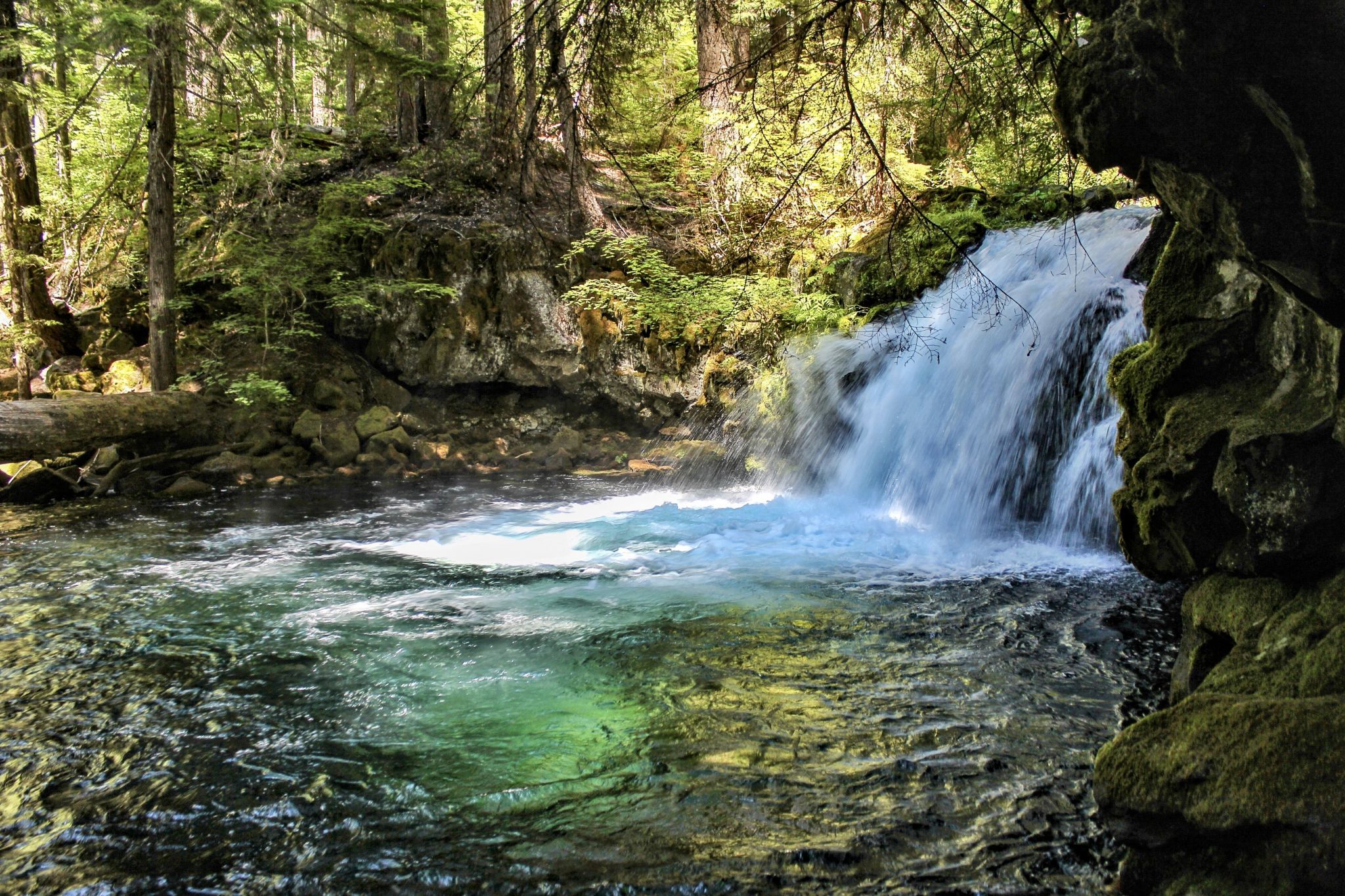 Whitehorse Falls, USA