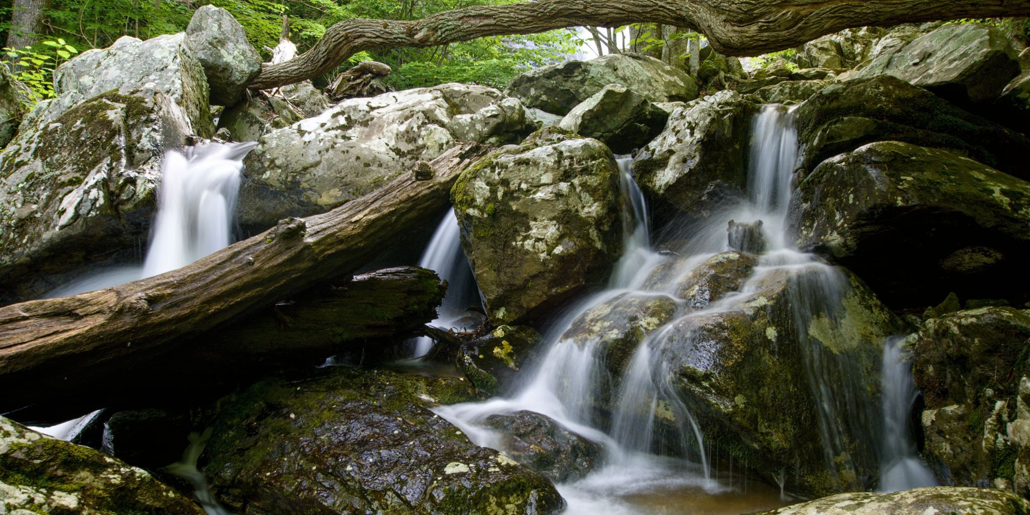 Whiteoak Falls, USA