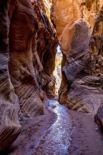 Willis Creek