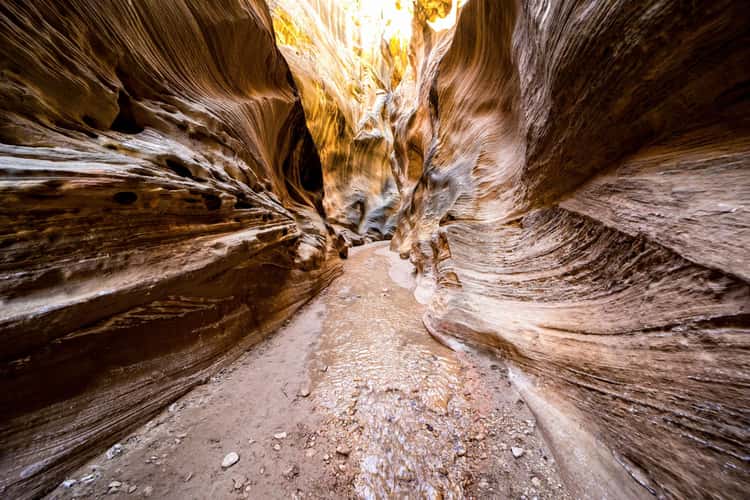 Willis Creek